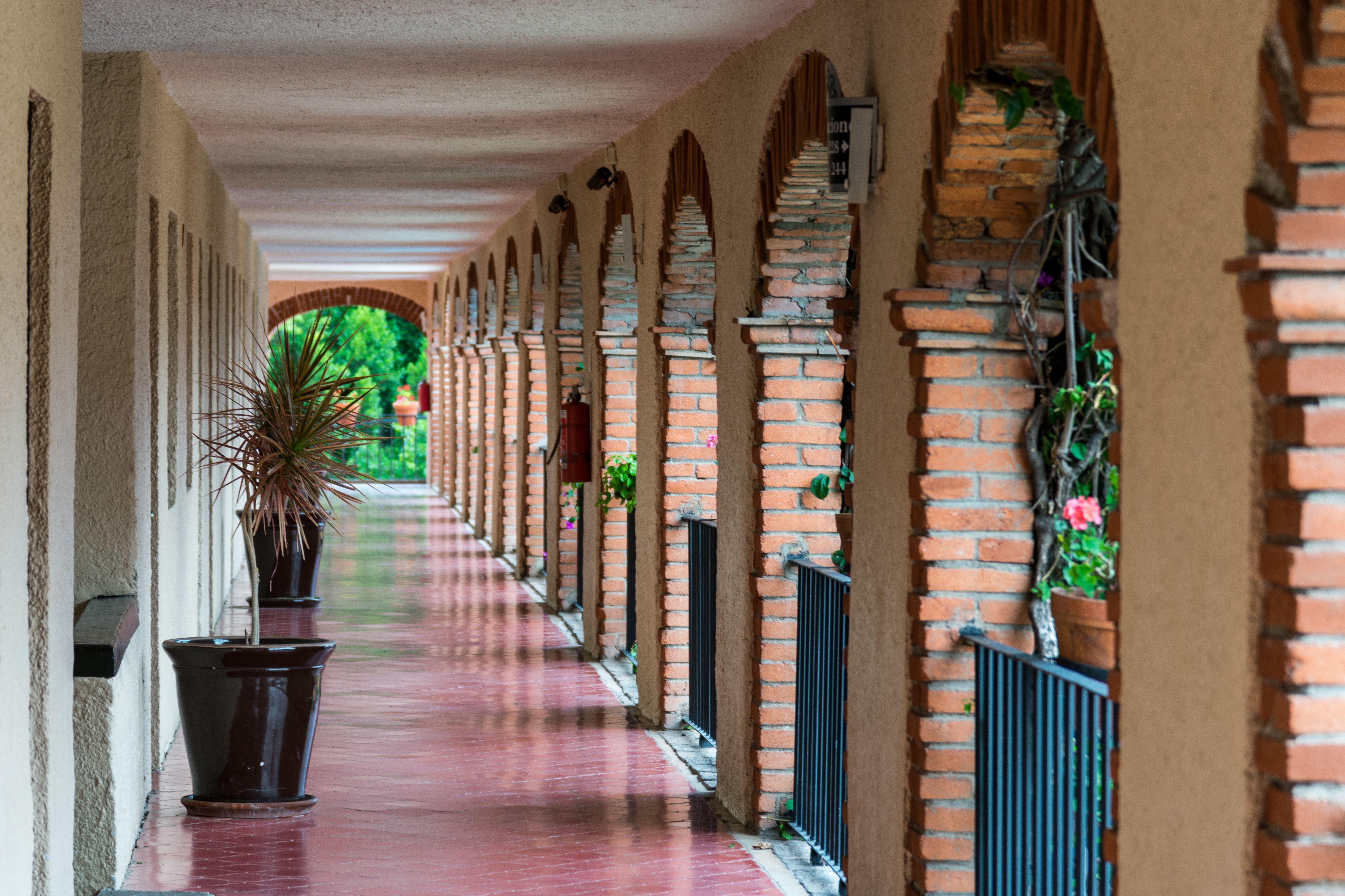 גואנאחואטו Hotel Abadia Plaza מראה חיצוני תמונה