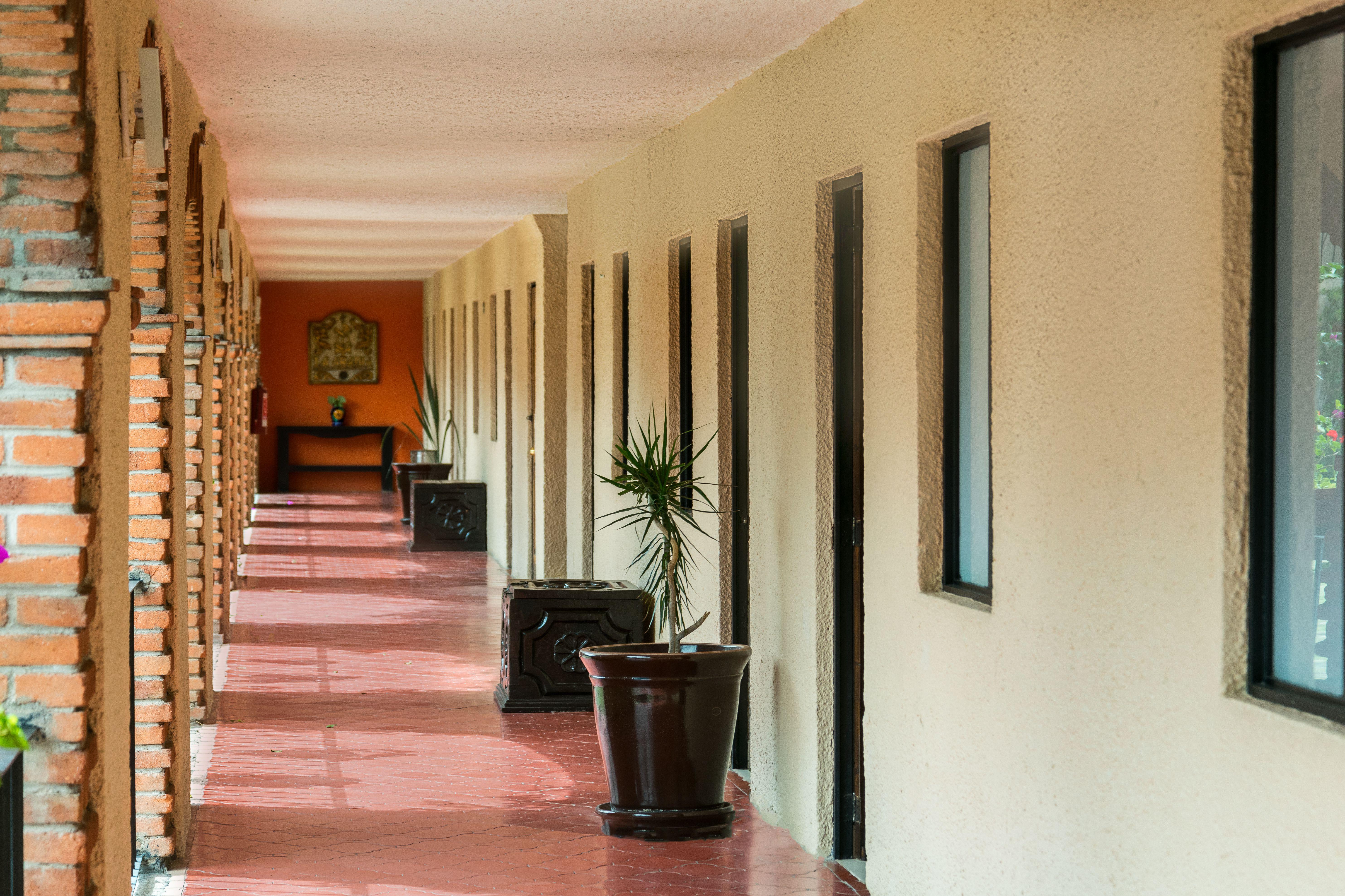 גואנאחואטו Hotel Abadia Plaza מראה חיצוני תמונה