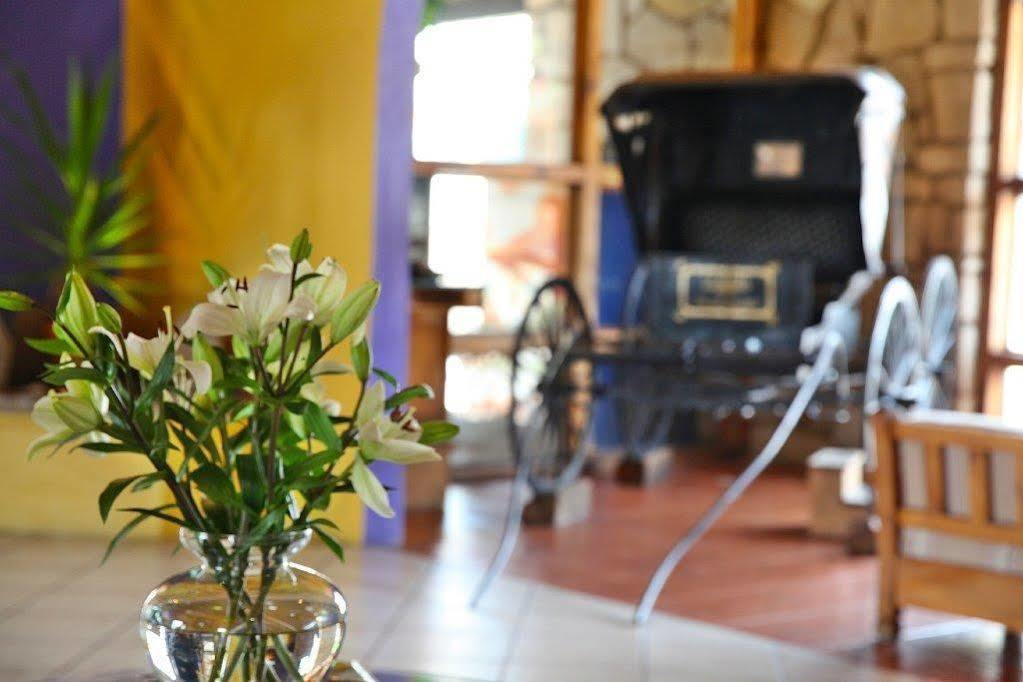 גואנאחואטו Hotel Abadia Plaza מראה חיצוני תמונה
